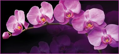 Фотообои 6 листов VIP Зеркальная орхидея оптом